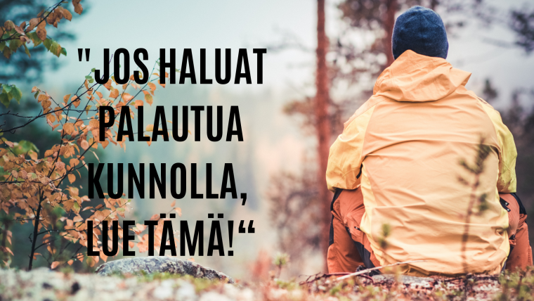 Palautuminen